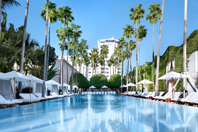 Delano Hotel Resort Pool