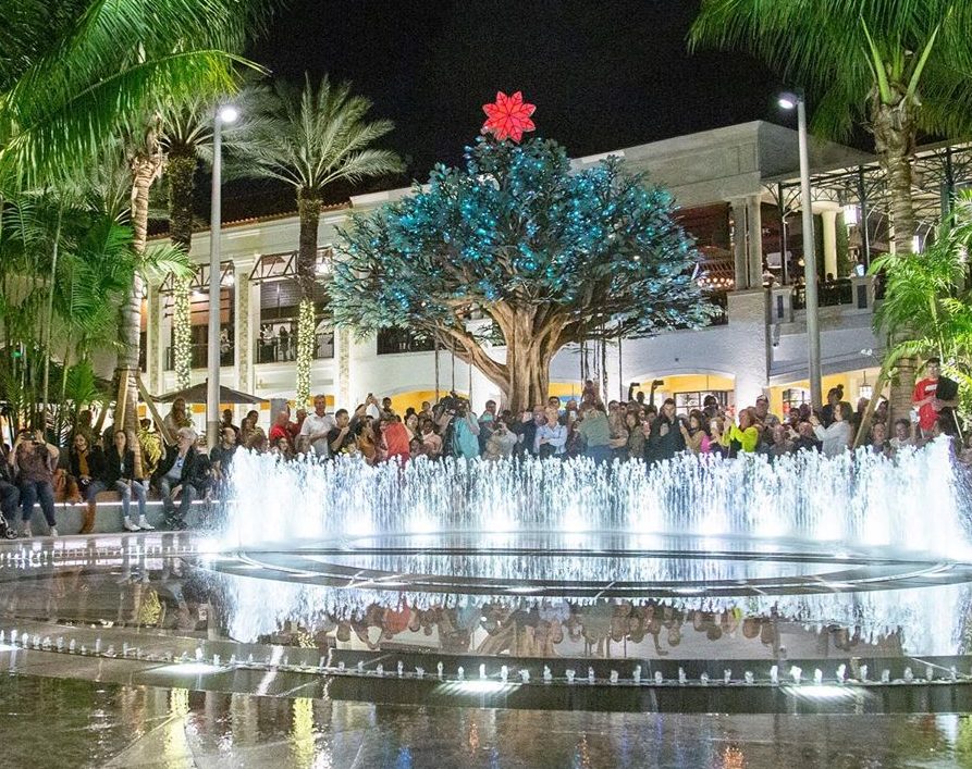 Rosemary Square Water Pavilion West Palm Martin Aquatic